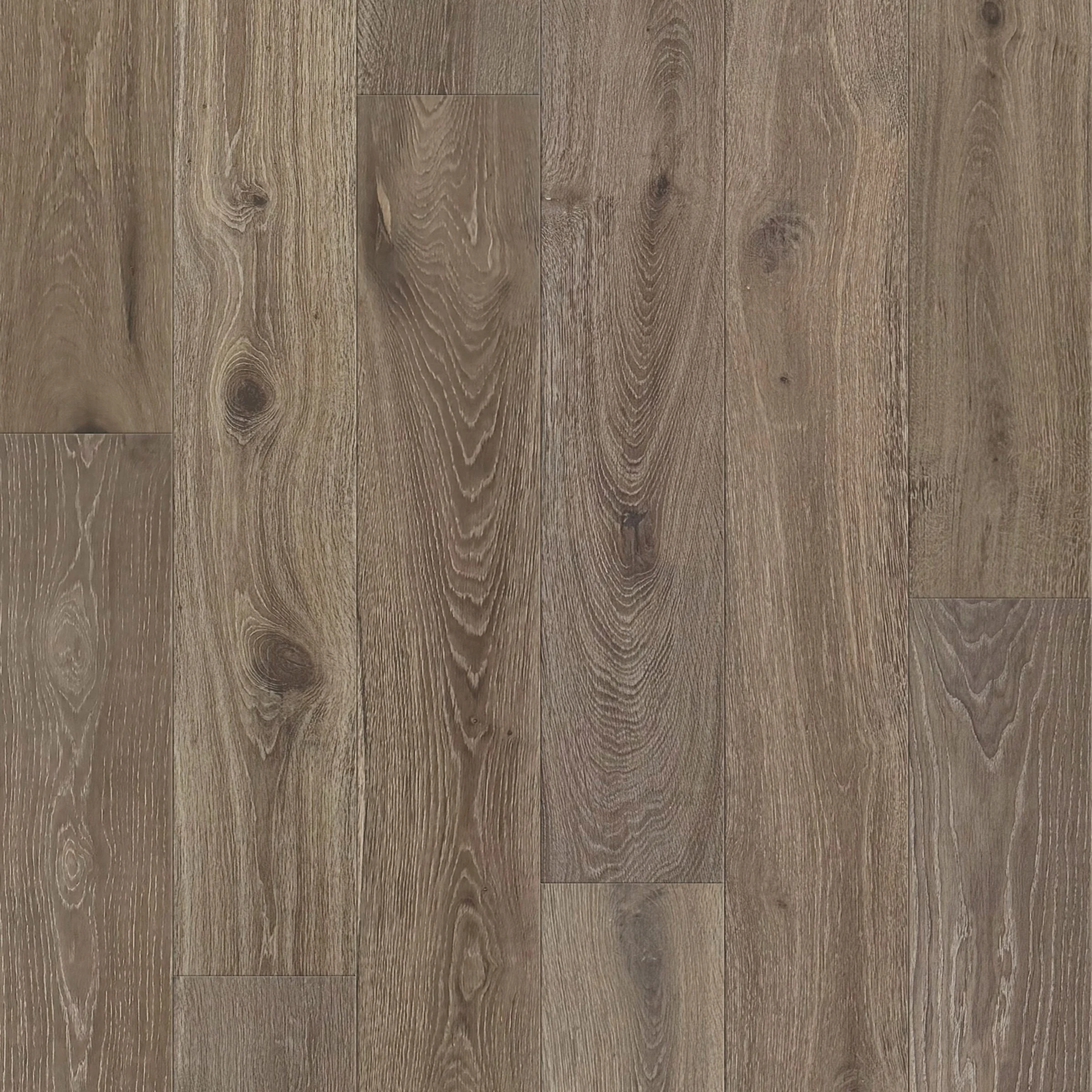 Driftwood - Image 2