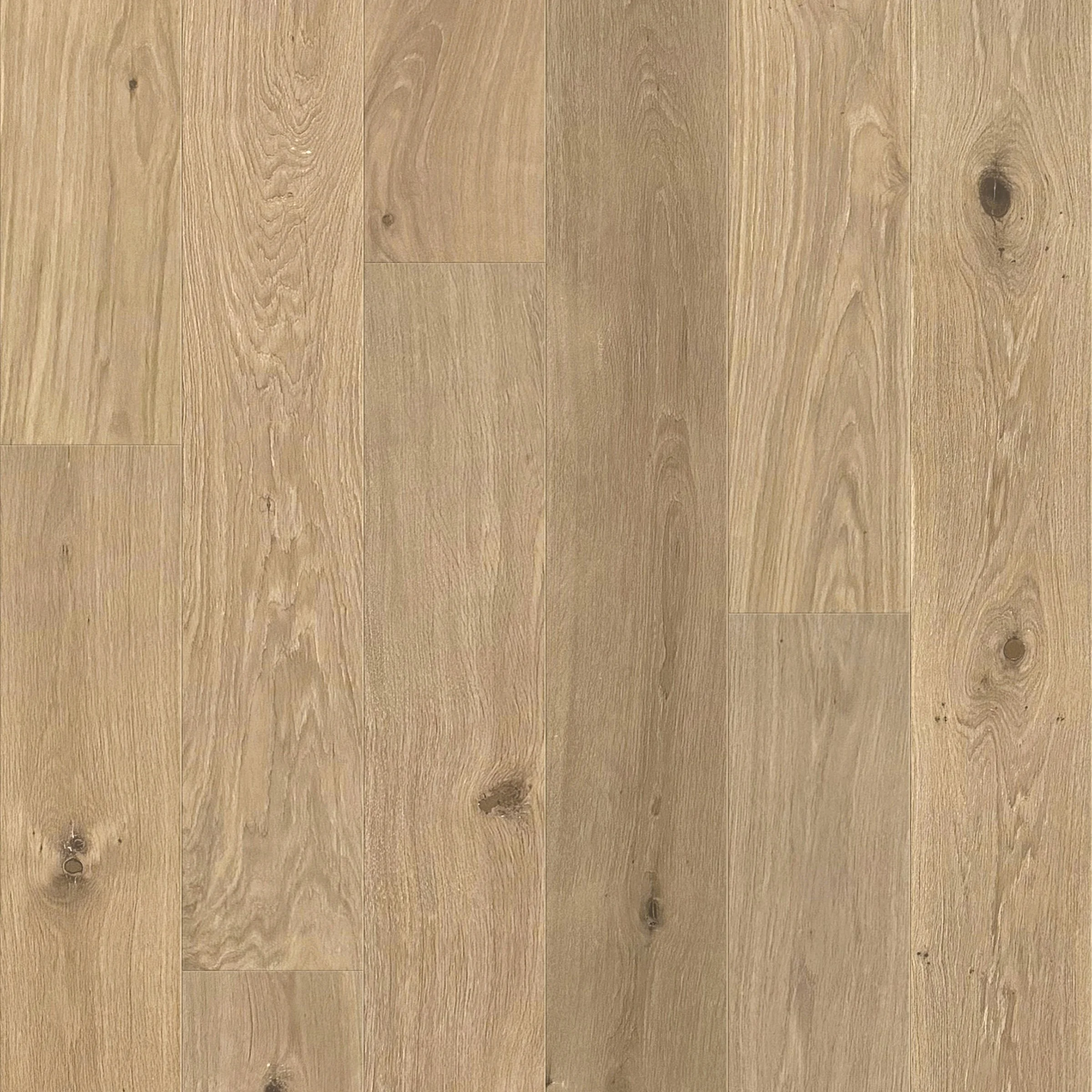 Laurel - Image 2