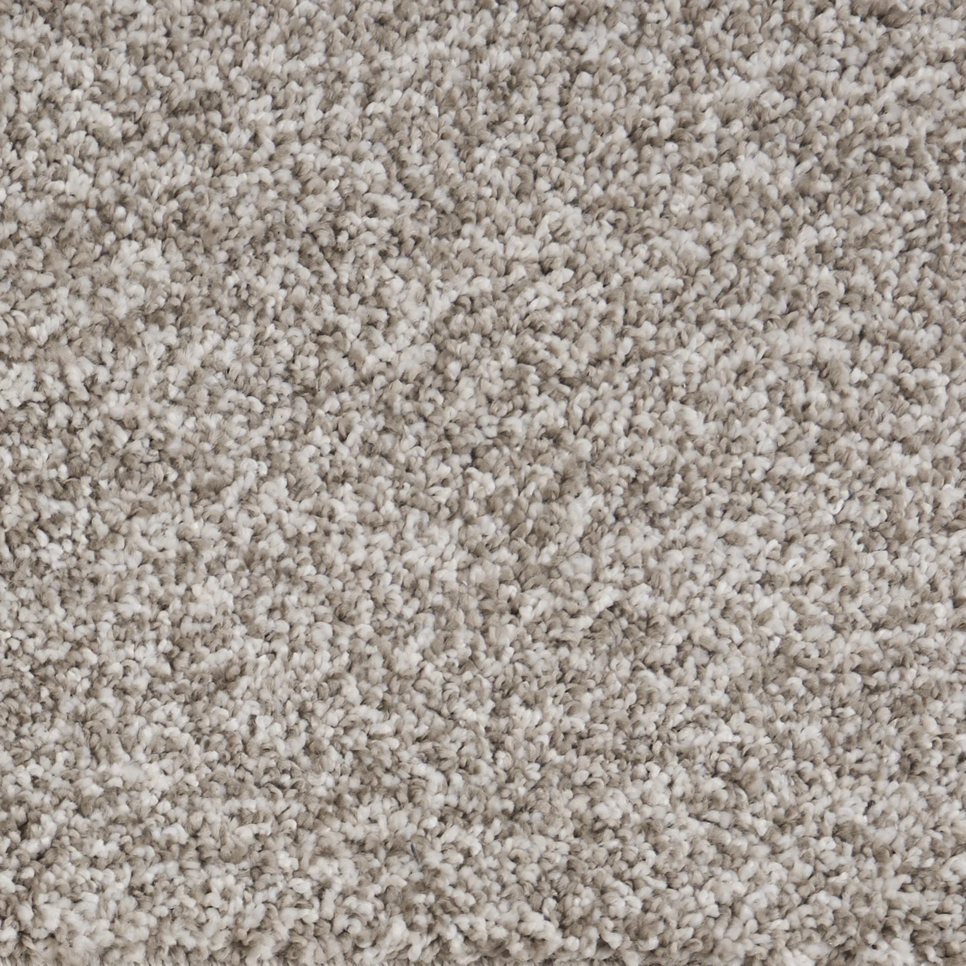 Brushed Cotton