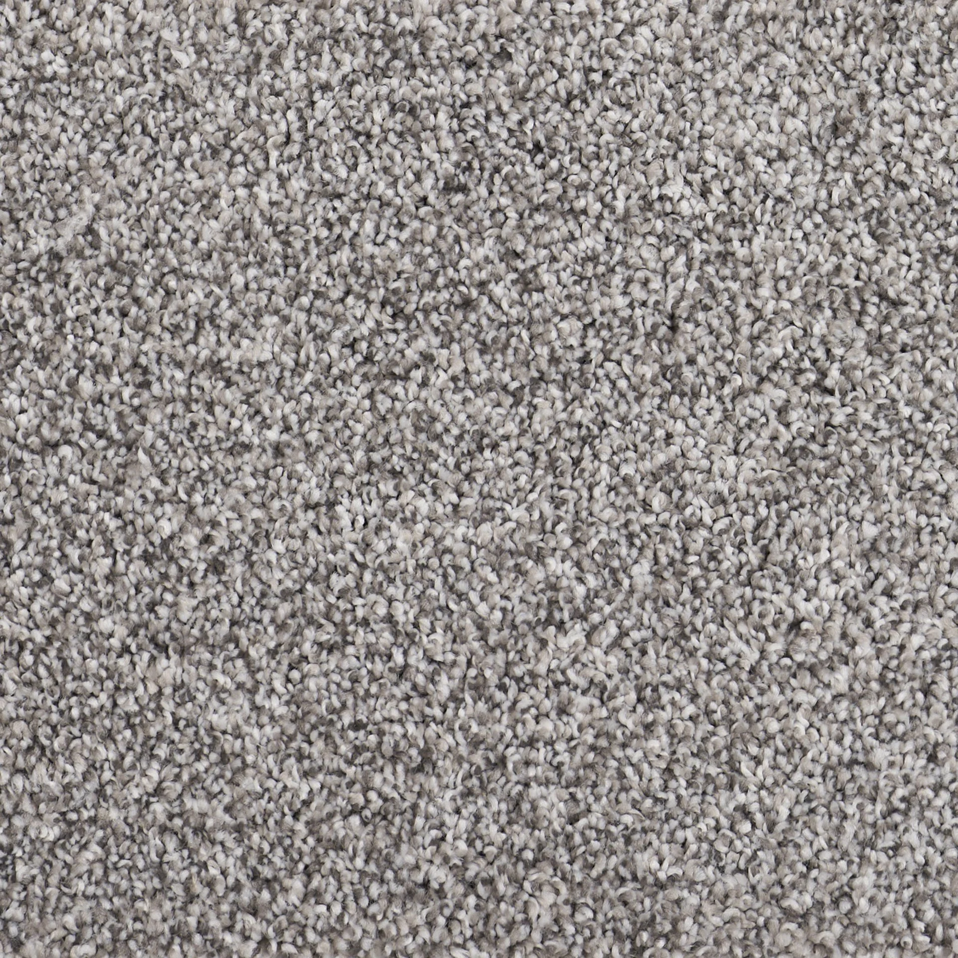 Executive Gray