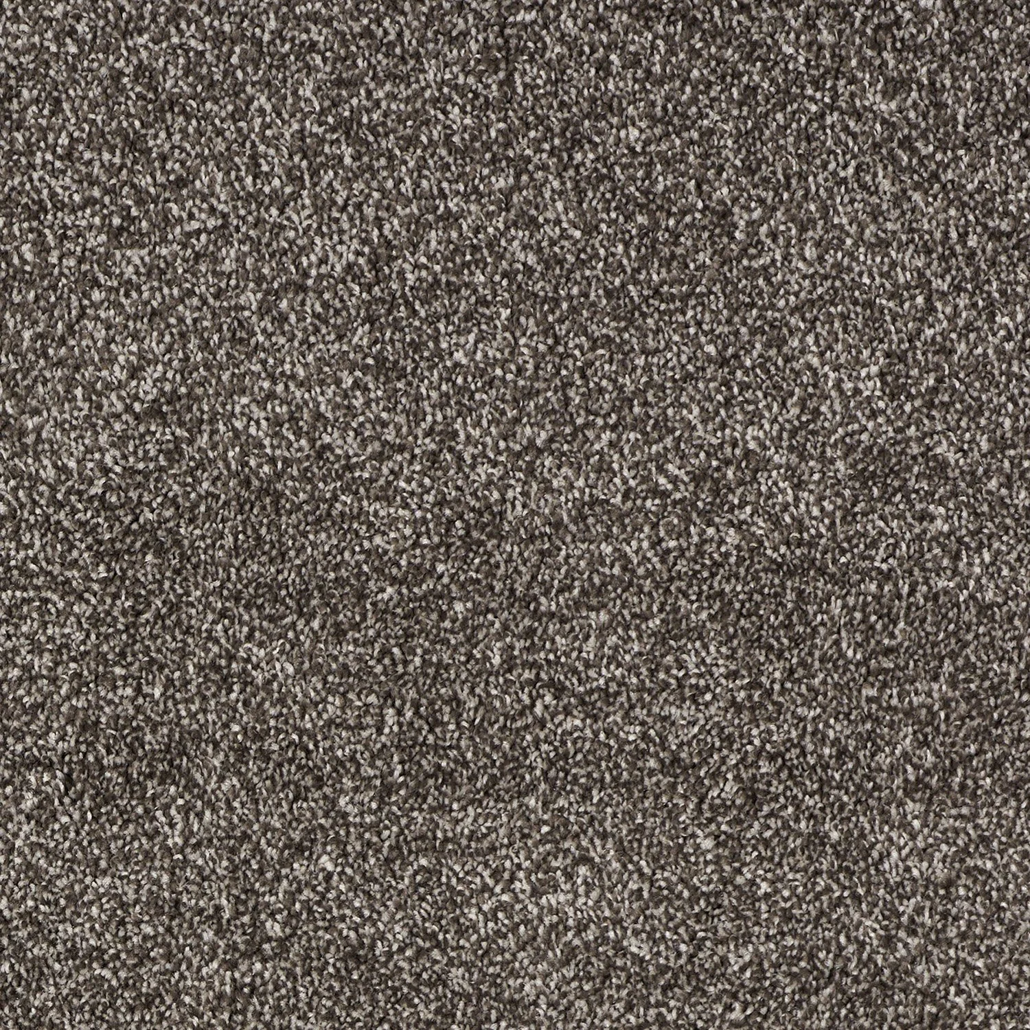 Bark